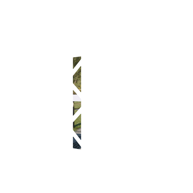 Oblique