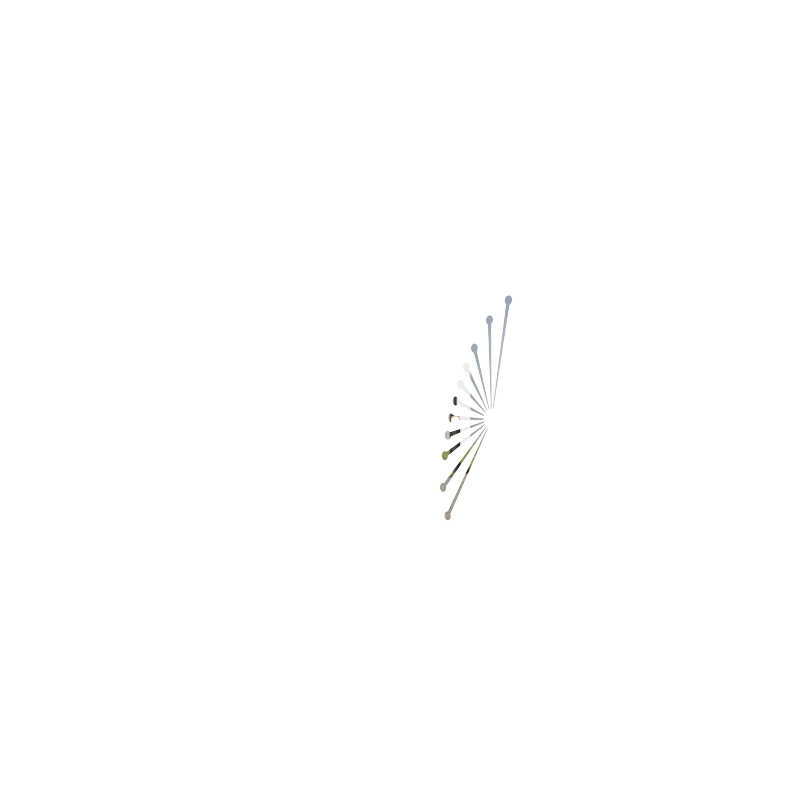 PAN