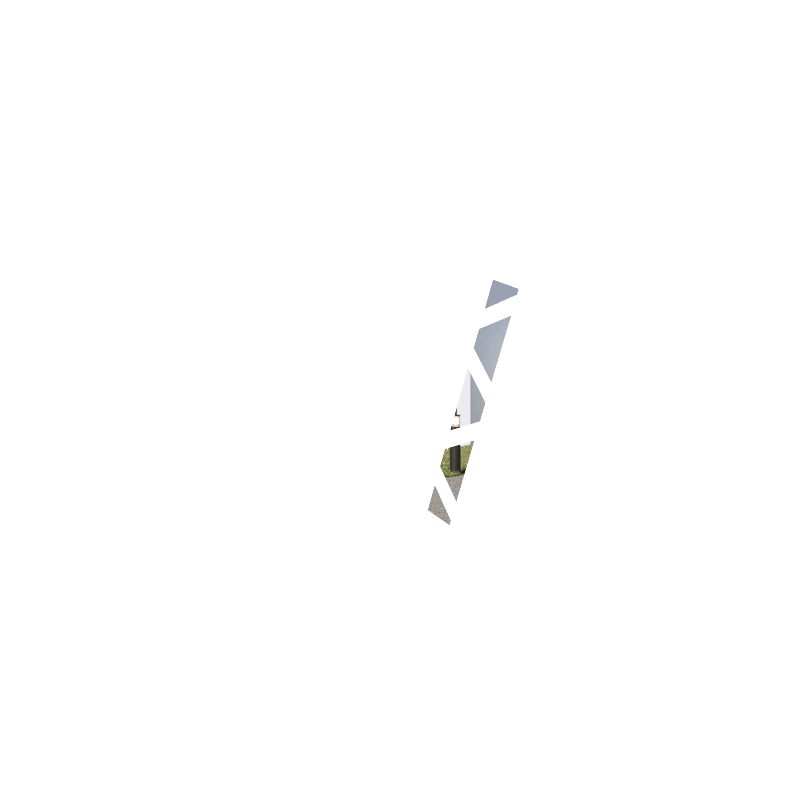 OBLIQUE