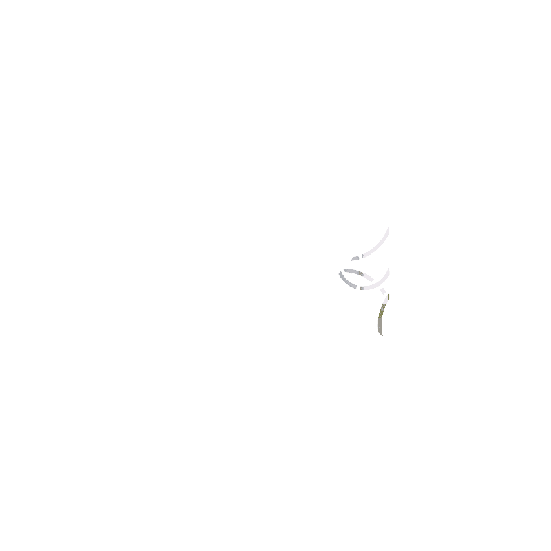 ANNEAUX