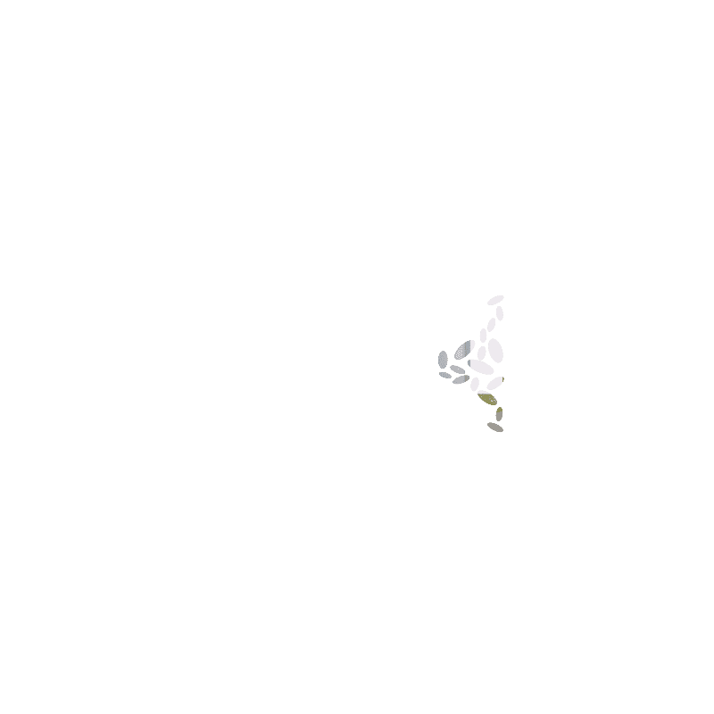 GALET