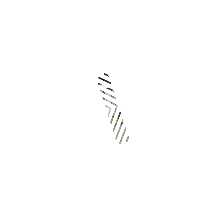 CONVERGENT
