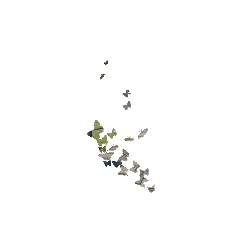PAPILLONS